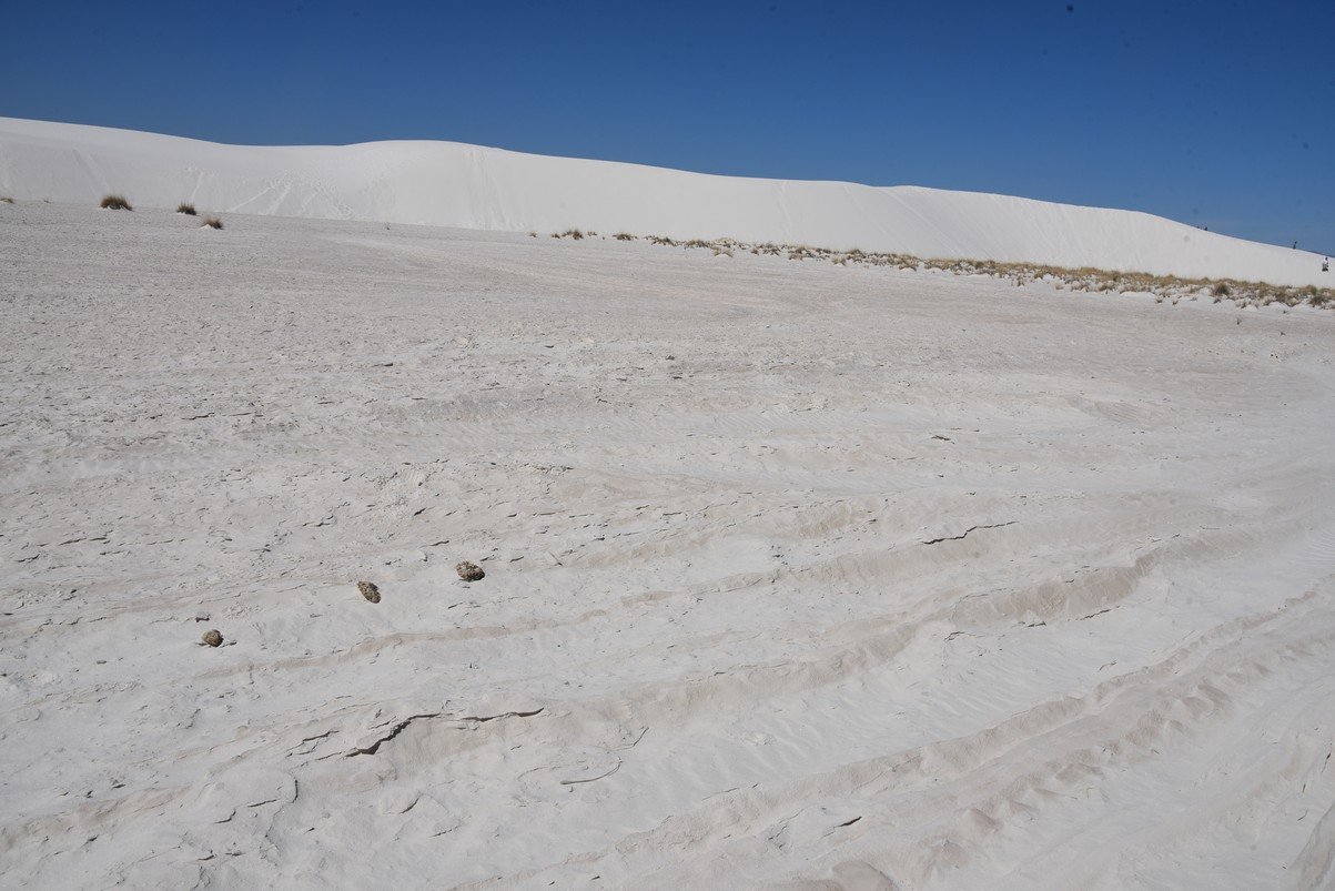 dsc_7069_fs.jpg