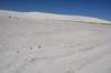 dsc_7069_fs_small.jpg
