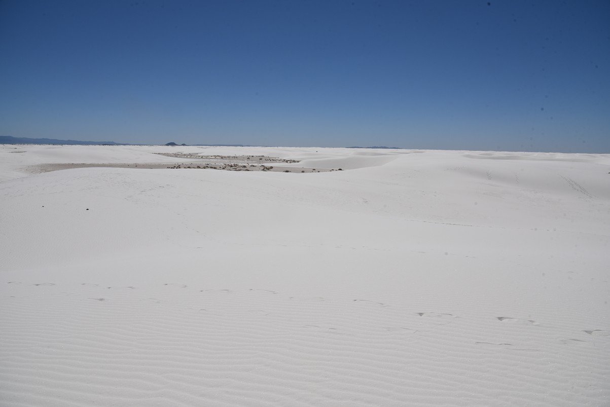 dsc_7081_fs.jpg