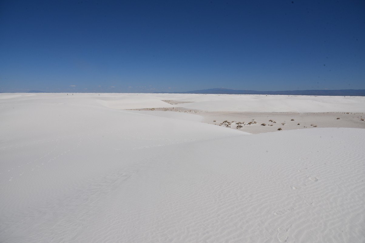 dsc_7093_fs.jpg