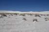 dsc_7101_fs_small.jpg