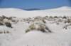 dsc_7102_fs_small.jpg