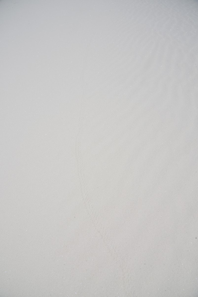 dsc_7104_fs.jpg