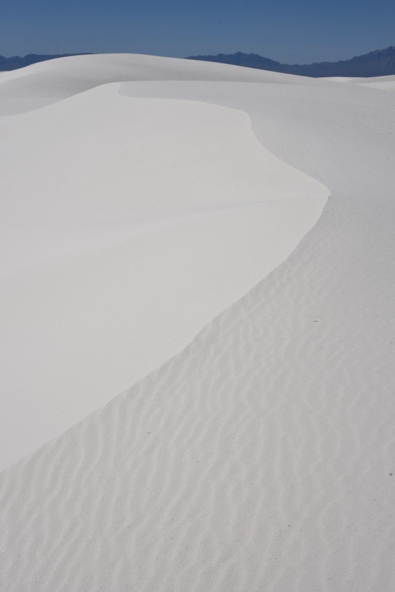 dsc_7109_fs.jpg