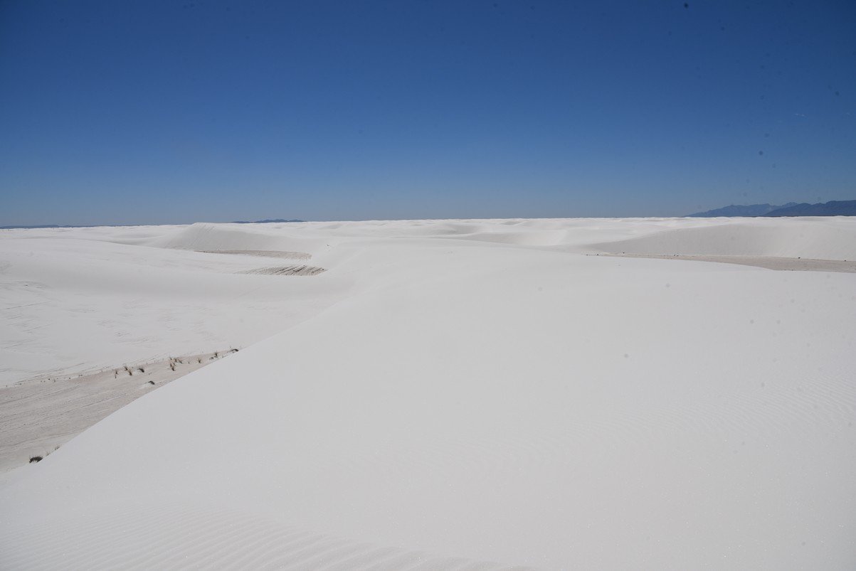 dsc_7121_fs.jpg