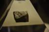 dsc_7175_fs_small.jpg