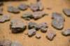 dsc_7198_fs_small.jpg
