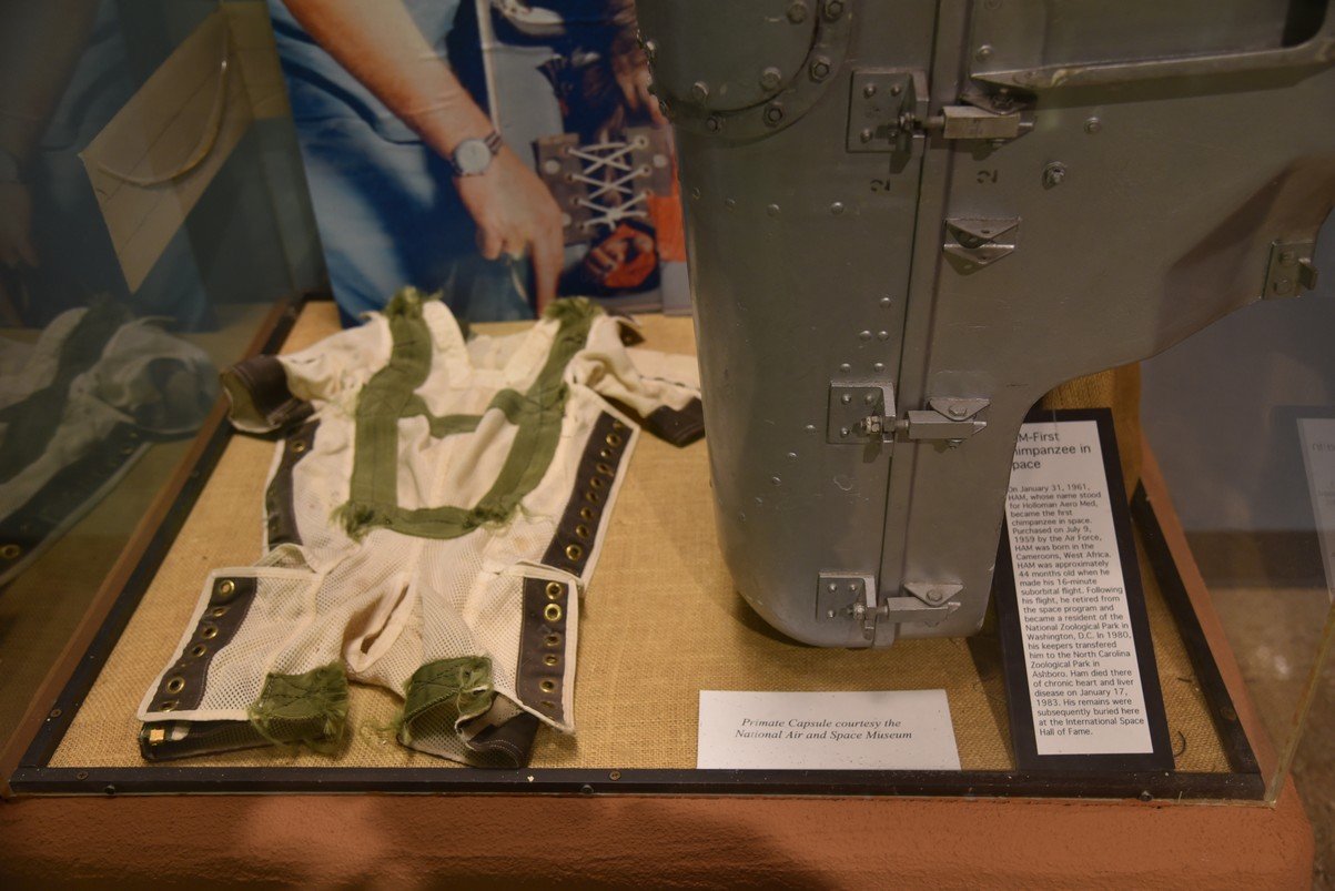 dsc_7199_fs.jpg
