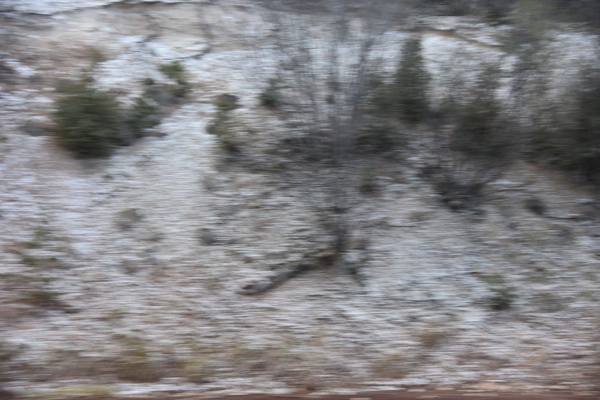 dsc_7314_fs.jpg