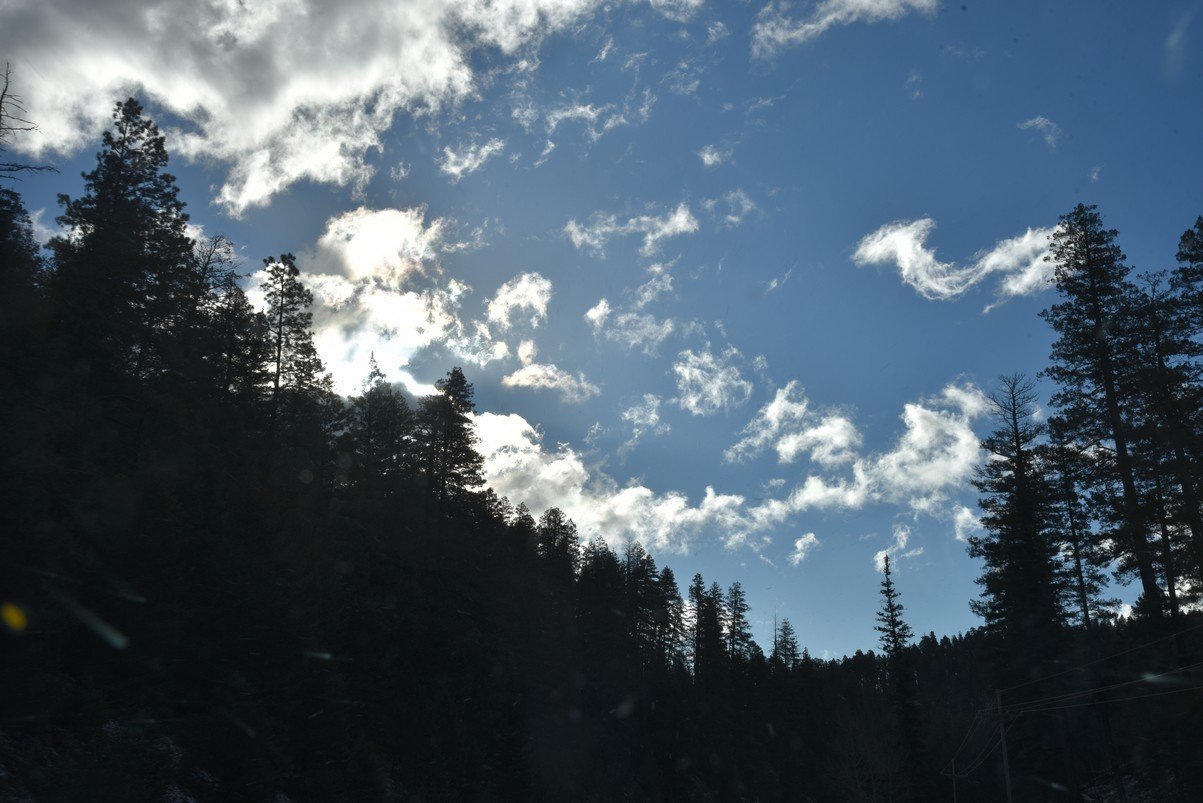 dsc_7331_fs.jpg
