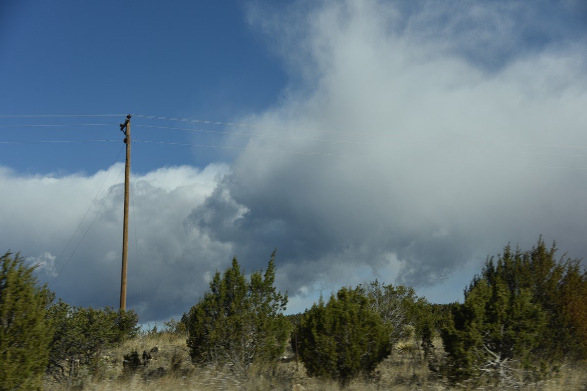 dsc_7346_fs.jpg