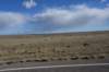 dsc_7347_fs_small.jpg