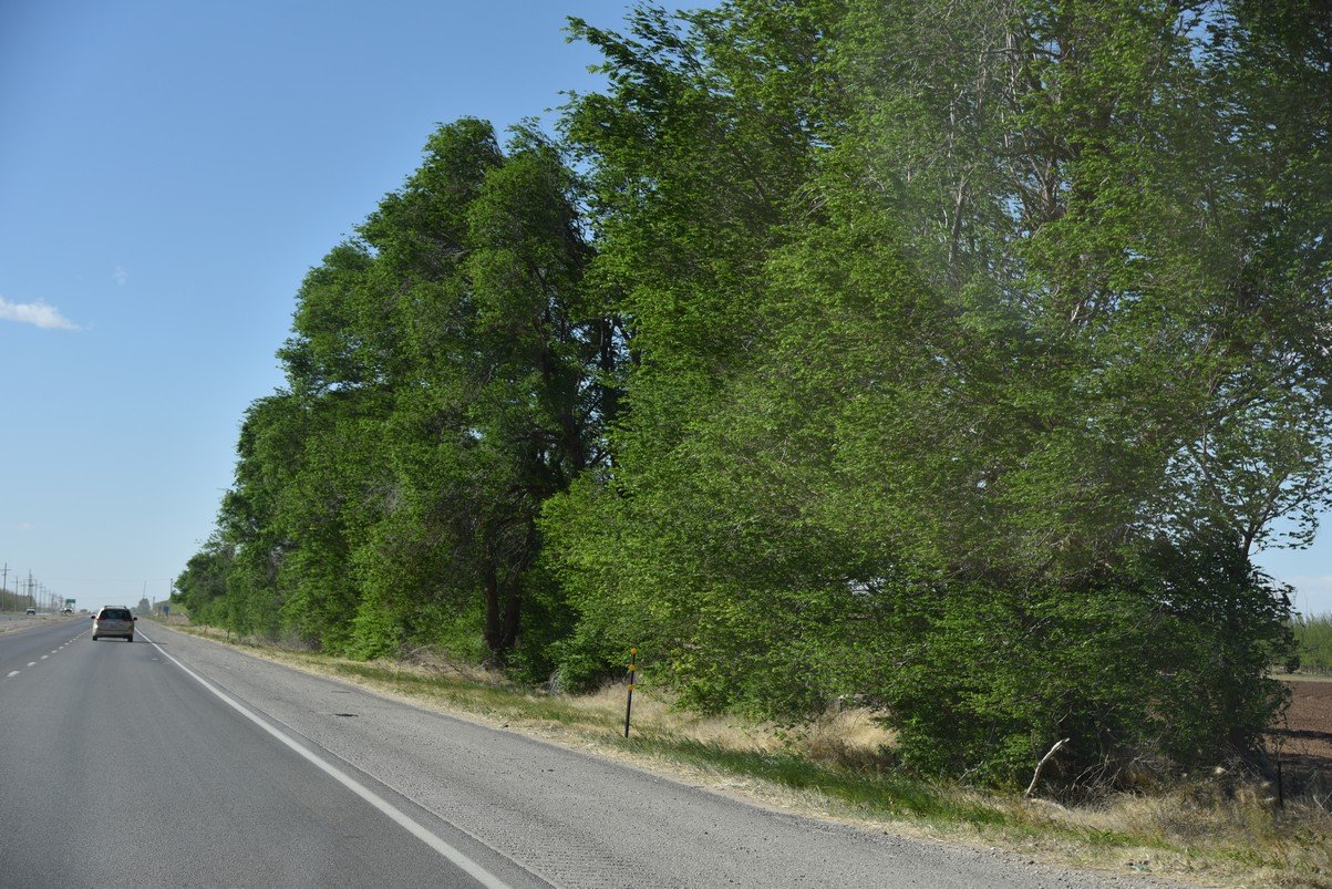 dsc_7377_fs.jpg