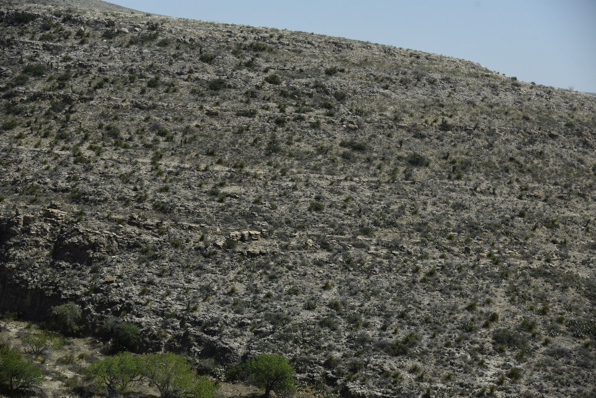 dsc_7409_fs.jpg
