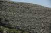 dsc_7409_fs_small.jpg