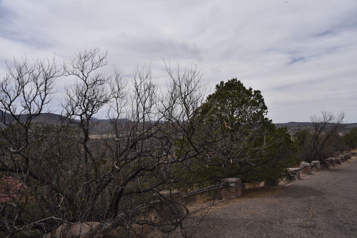 dsc_7973_fs.jpg