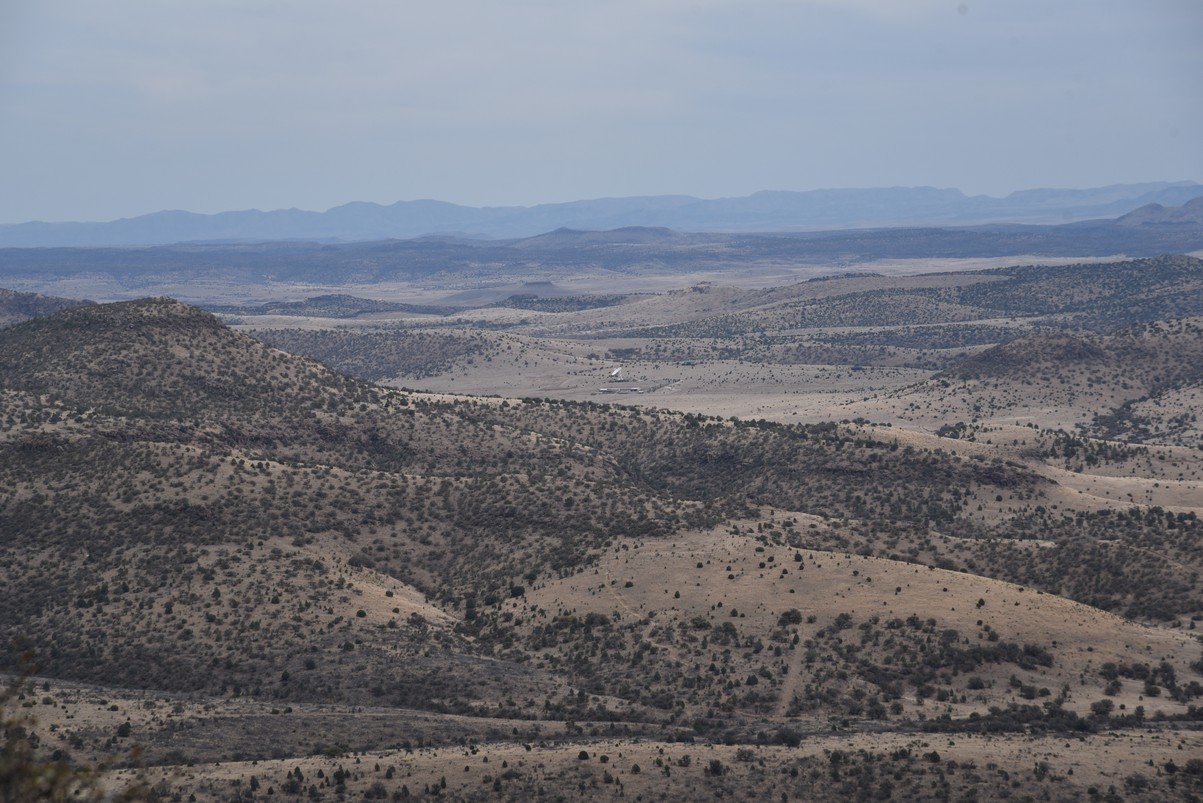 dsc_8013_fs.jpg