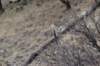 dsc_8014_fs_small.jpg