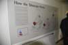 dsc_8031_fs_small.jpg