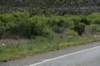 dsc_8145_fs_small.jpg