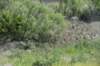 dsc_8146_fs_small.jpg