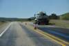 dsc_8155_fs_small.jpg
