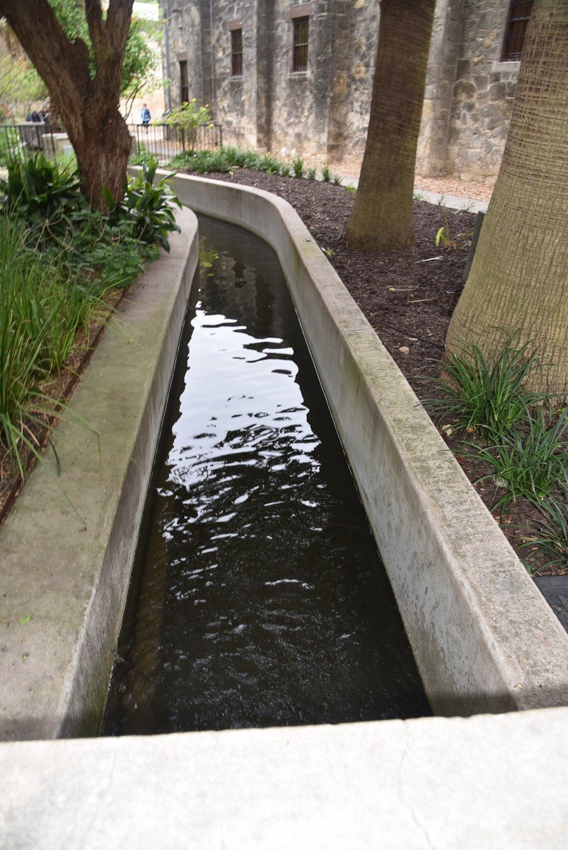 dsc_8540_fs.jpg