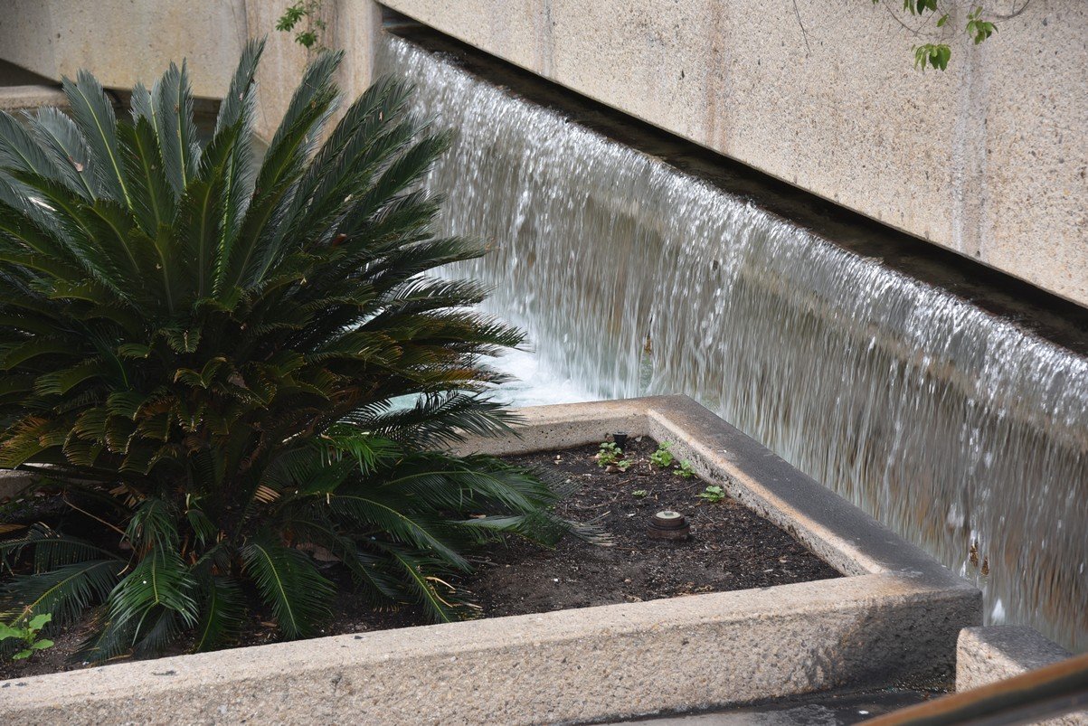 dsc_8616_fs.jpg