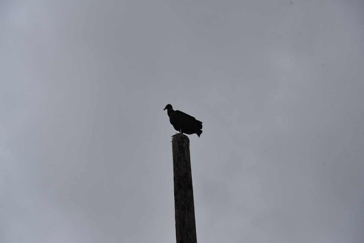 dsc_8754_fs.jpg