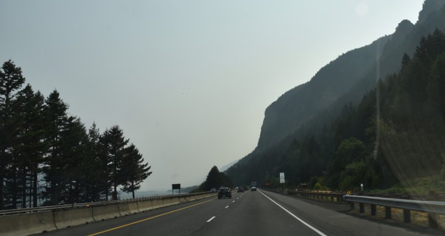 dsc_2482_fs.jpg