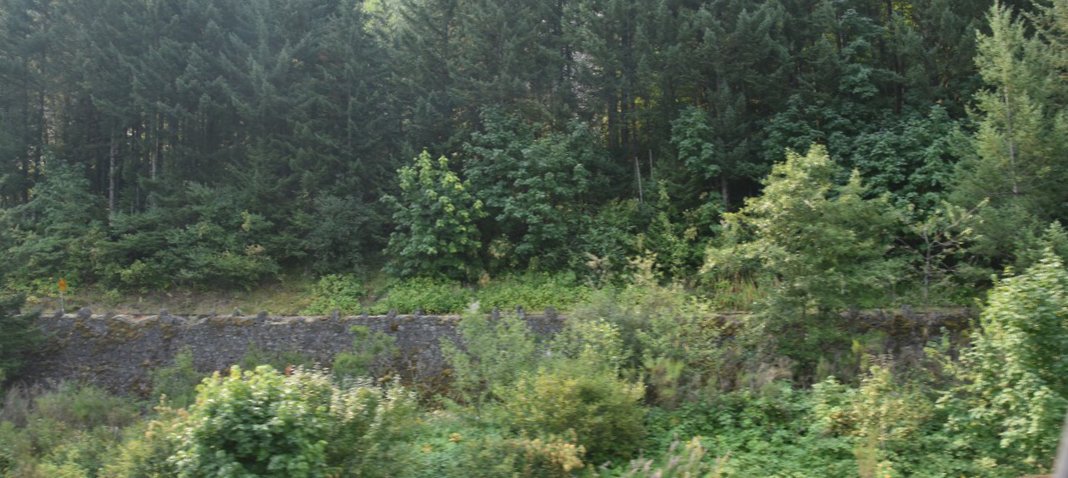 dsc_2484_fs.jpg