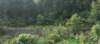 dsc_2484_fs_small.jpg