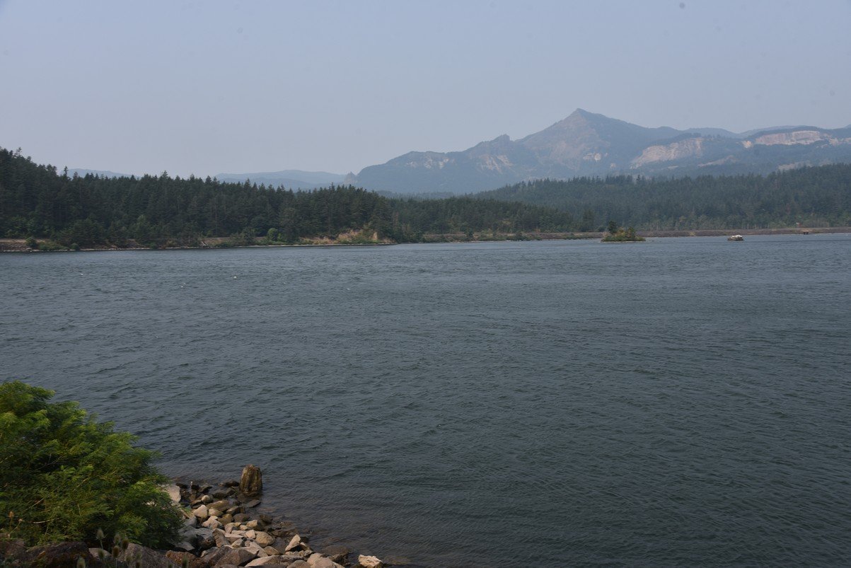 dsc_2525_fs.jpg