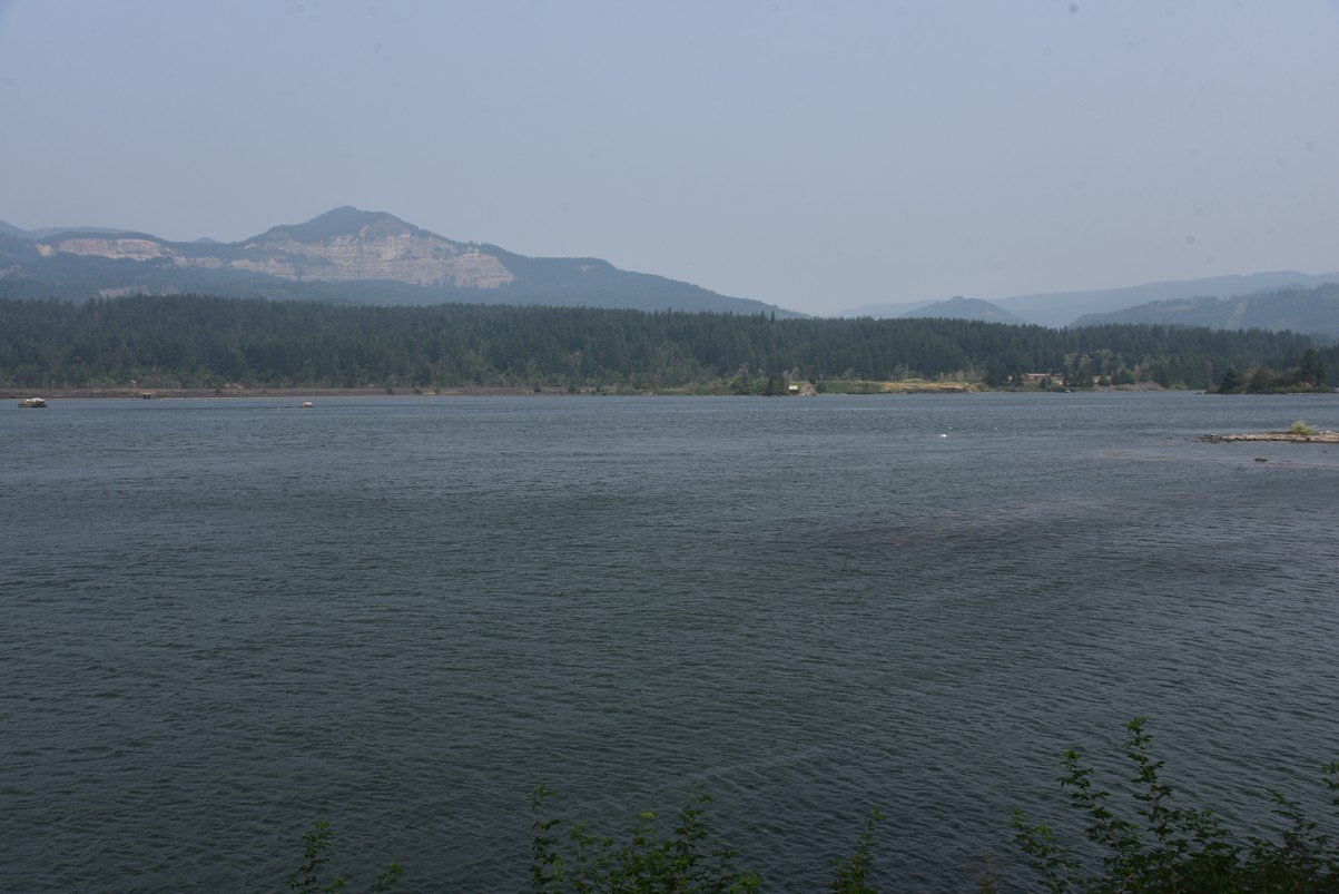 dsc_2527_fs.jpg