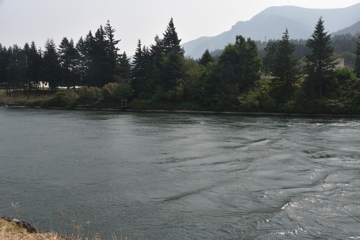 dsc_2538_fs.jpg