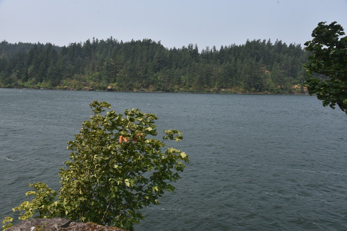 dsc_2545_fs.jpg