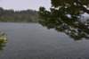 dsc_2546_fs_small.jpg