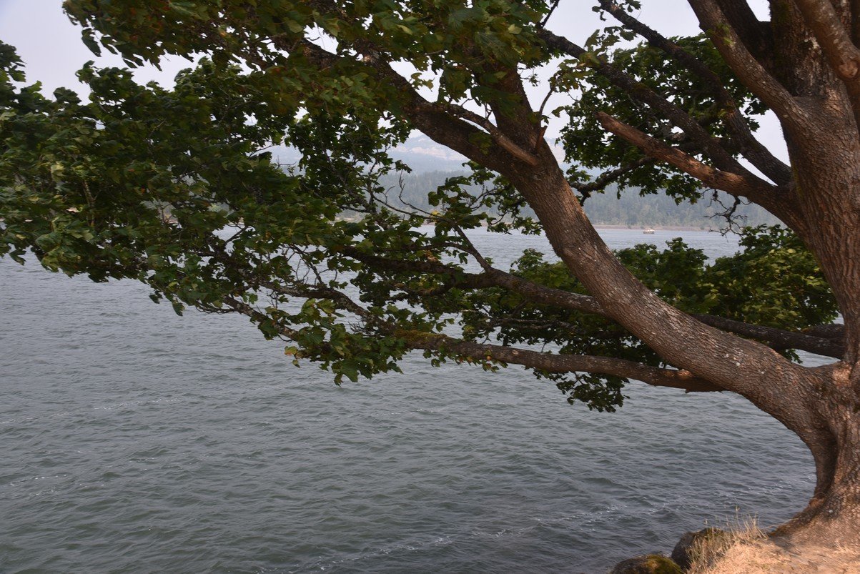dsc_2547_fs.jpg