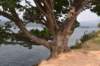 dsc_2548_fs_small.jpg