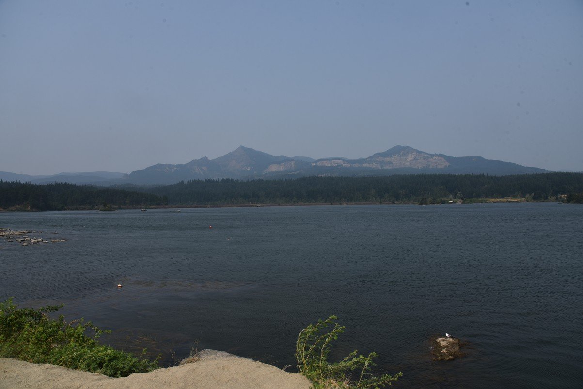 dsc_2575_fs.jpg