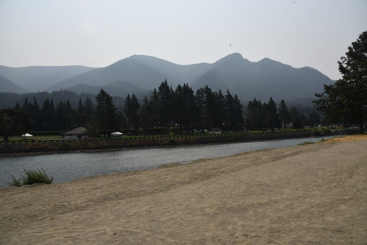 dsc_2584_fs.jpg