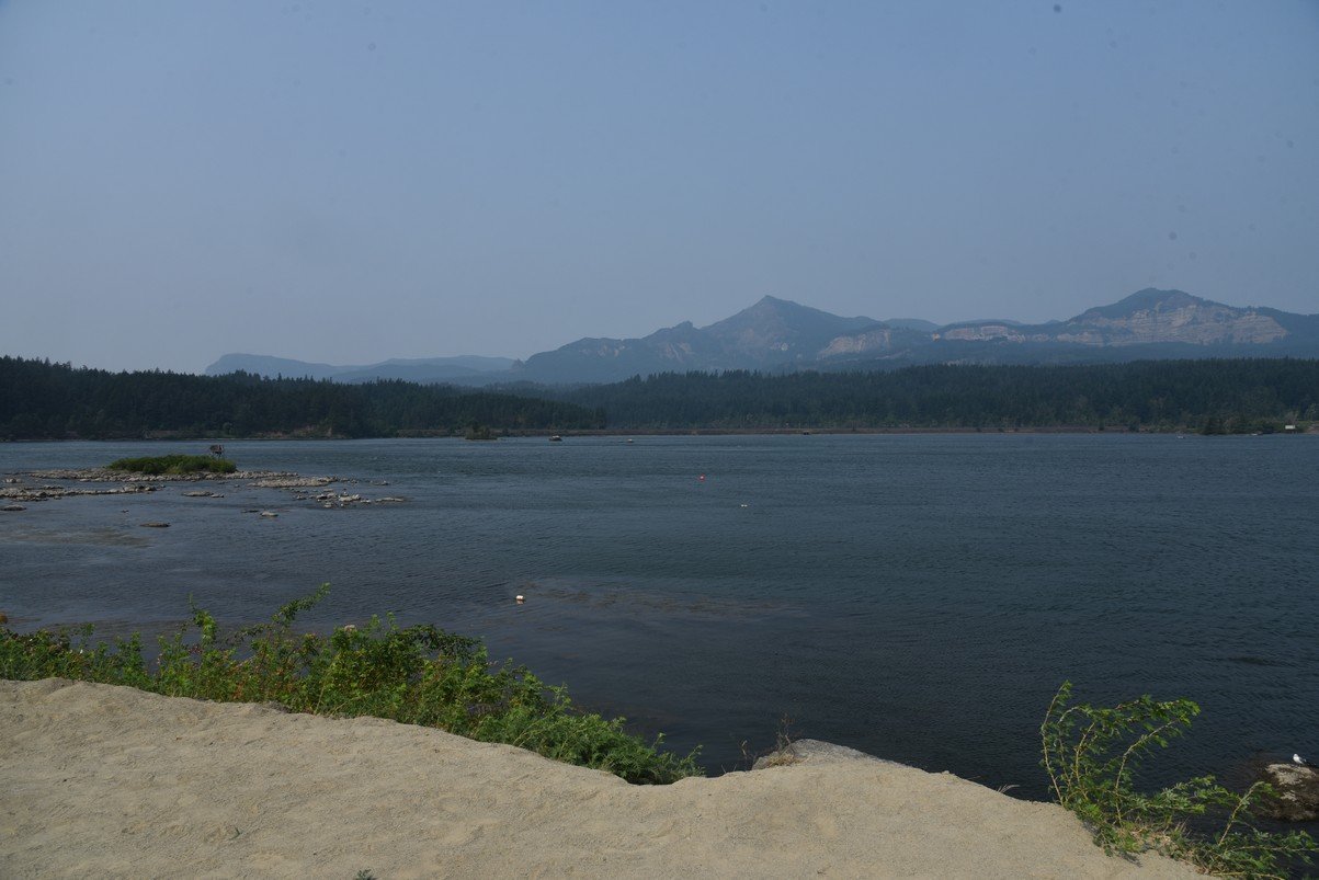 dsc_2589_fs.jpg