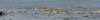 dsc_2590_fs_small.jpg