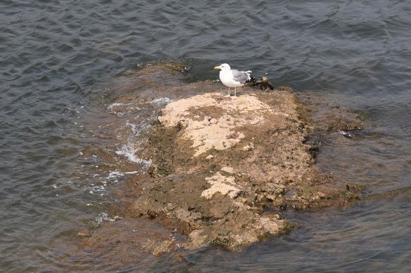 dsc_2591_fs.jpg
