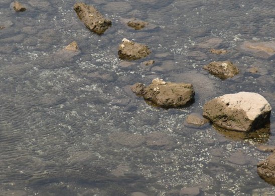dsc_2597_fs.jpg