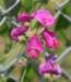 dsc_2699_fs_small.jpg