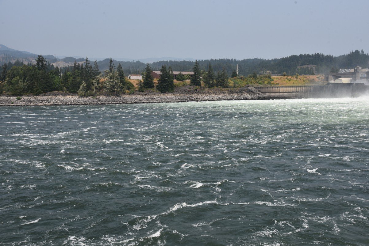 dsc_2706_fs.jpg