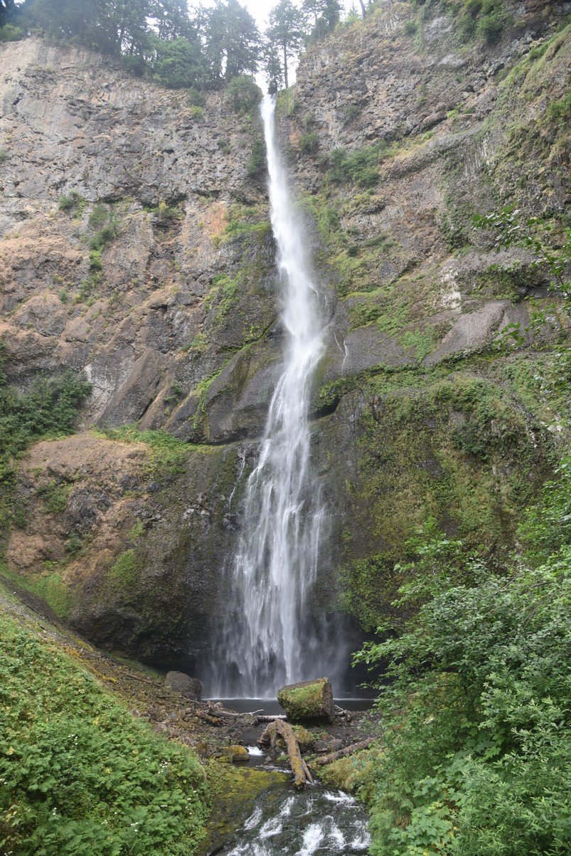 dsc_2796_fs.jpg