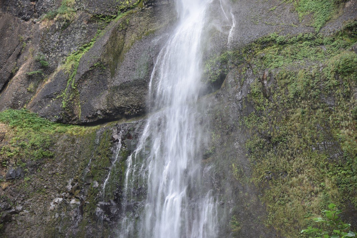 dsc_2801_fs.jpg