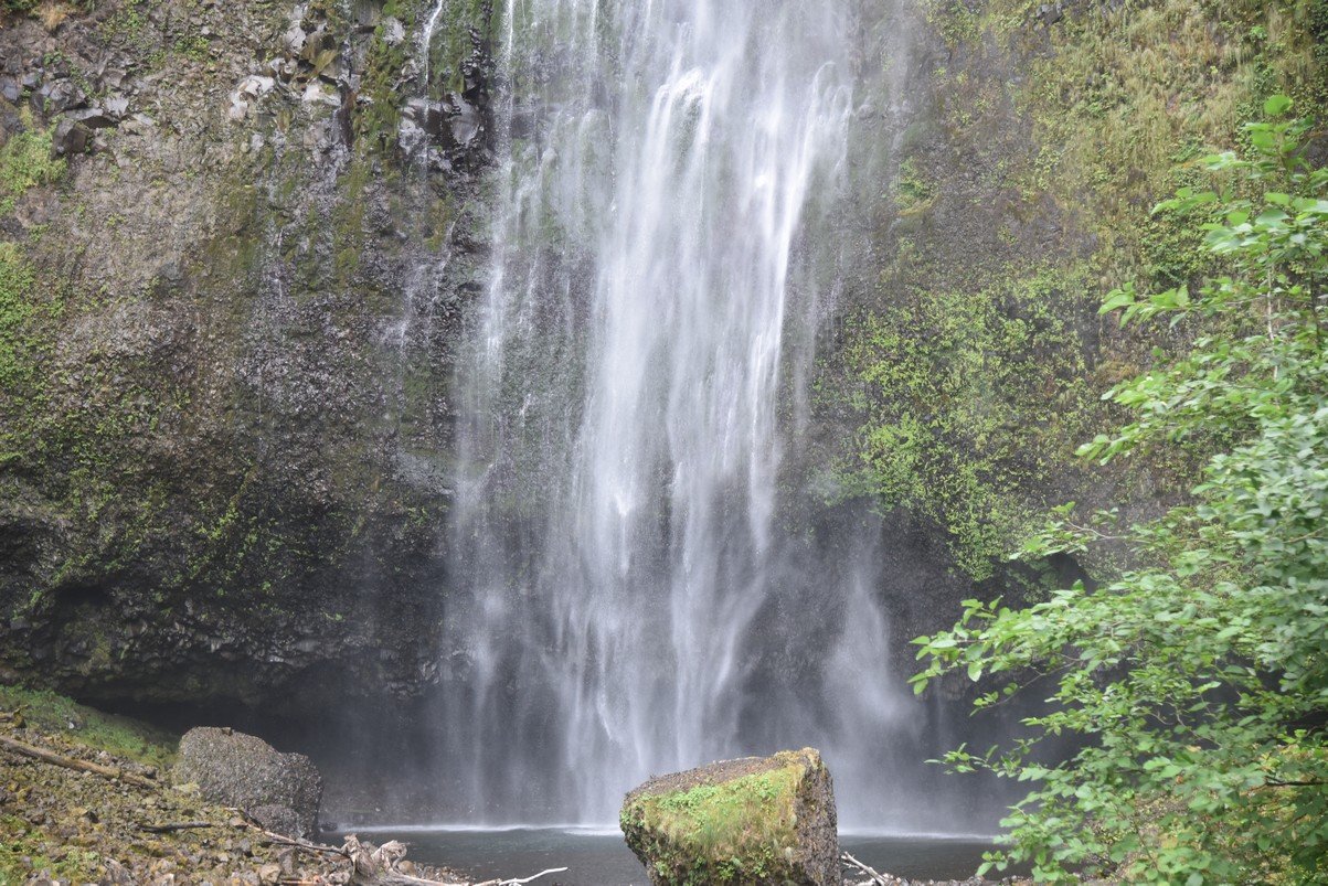 dsc_2803_fs.jpg